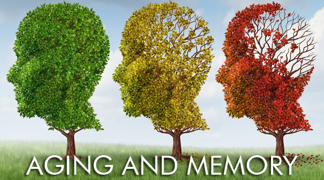 Aging and Memory