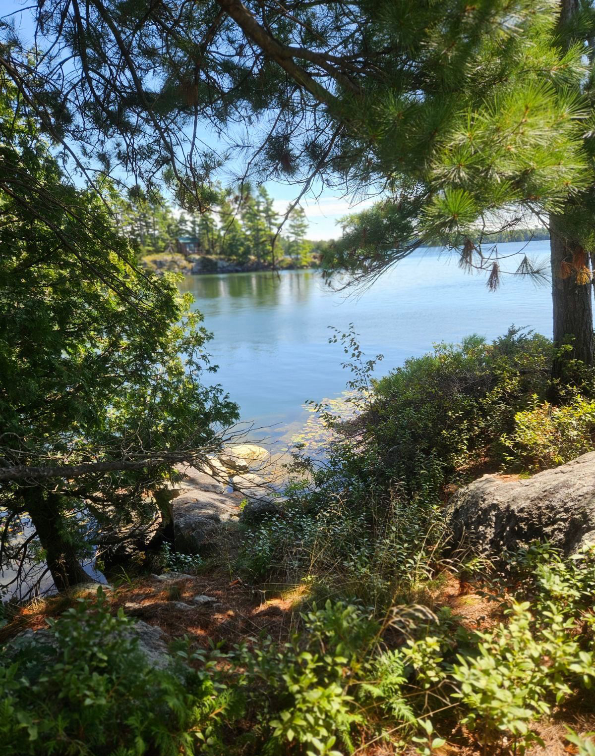 Pristine Nature Trails