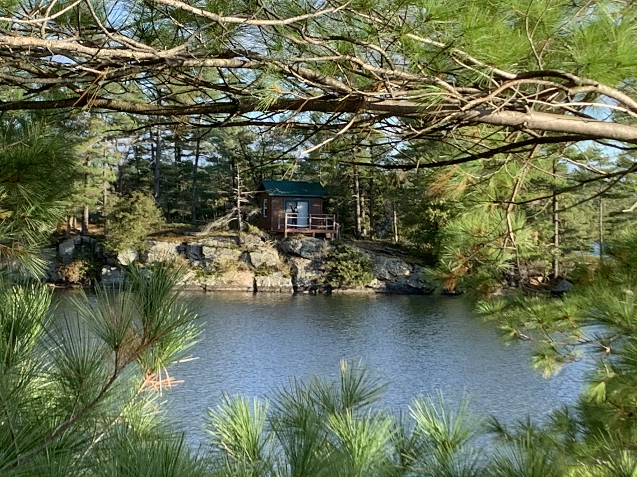 Nature Views