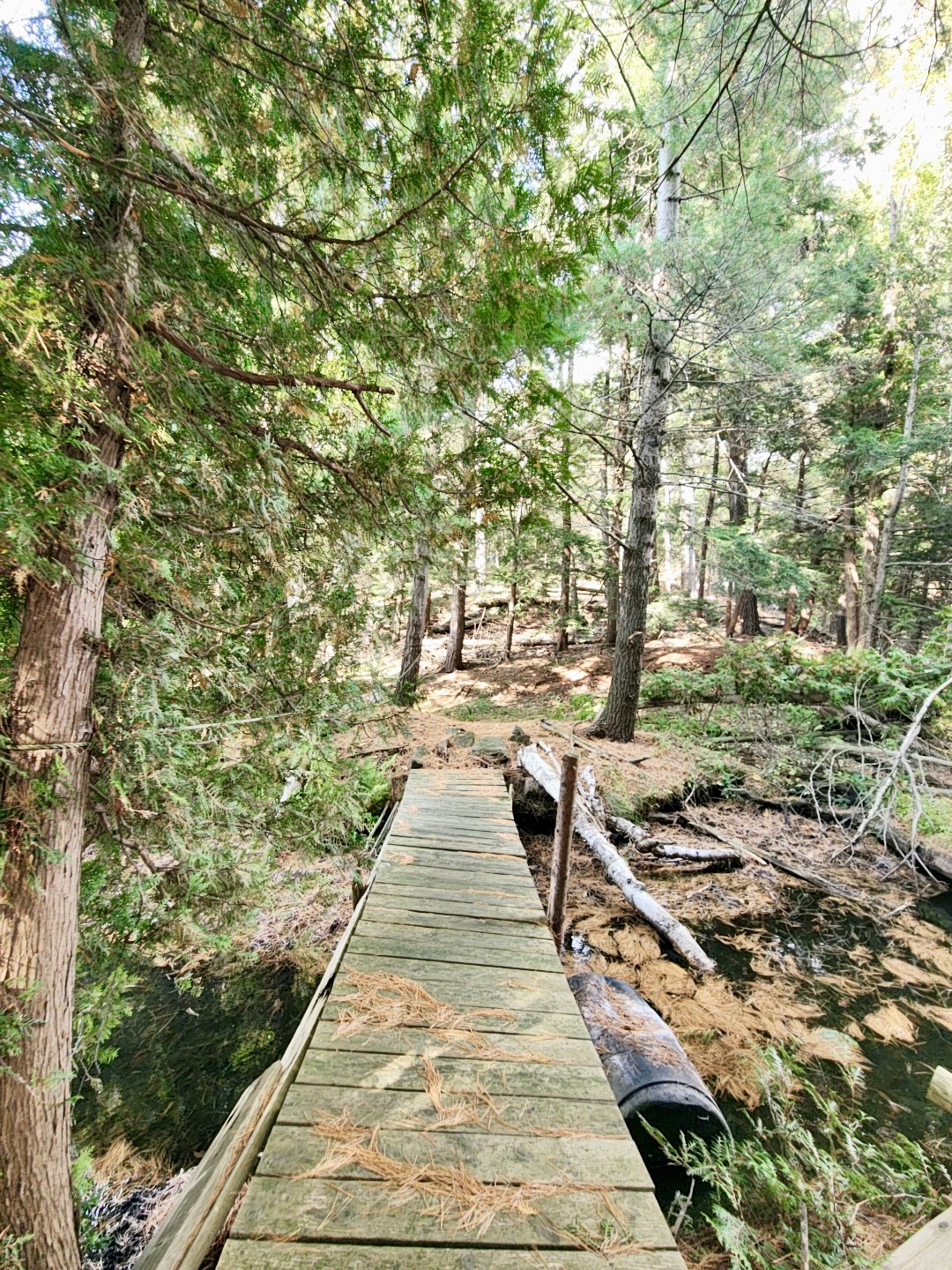 Nature Trail