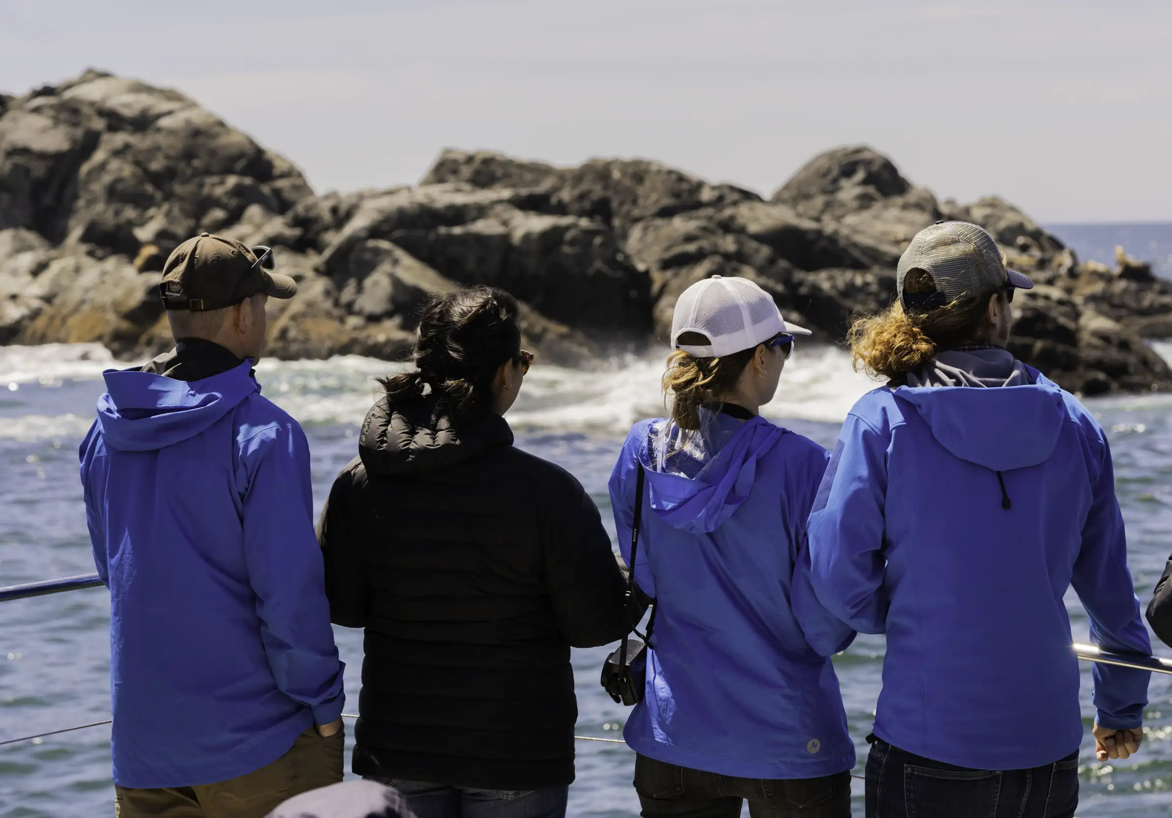 Archipelago Wildlife Cruises