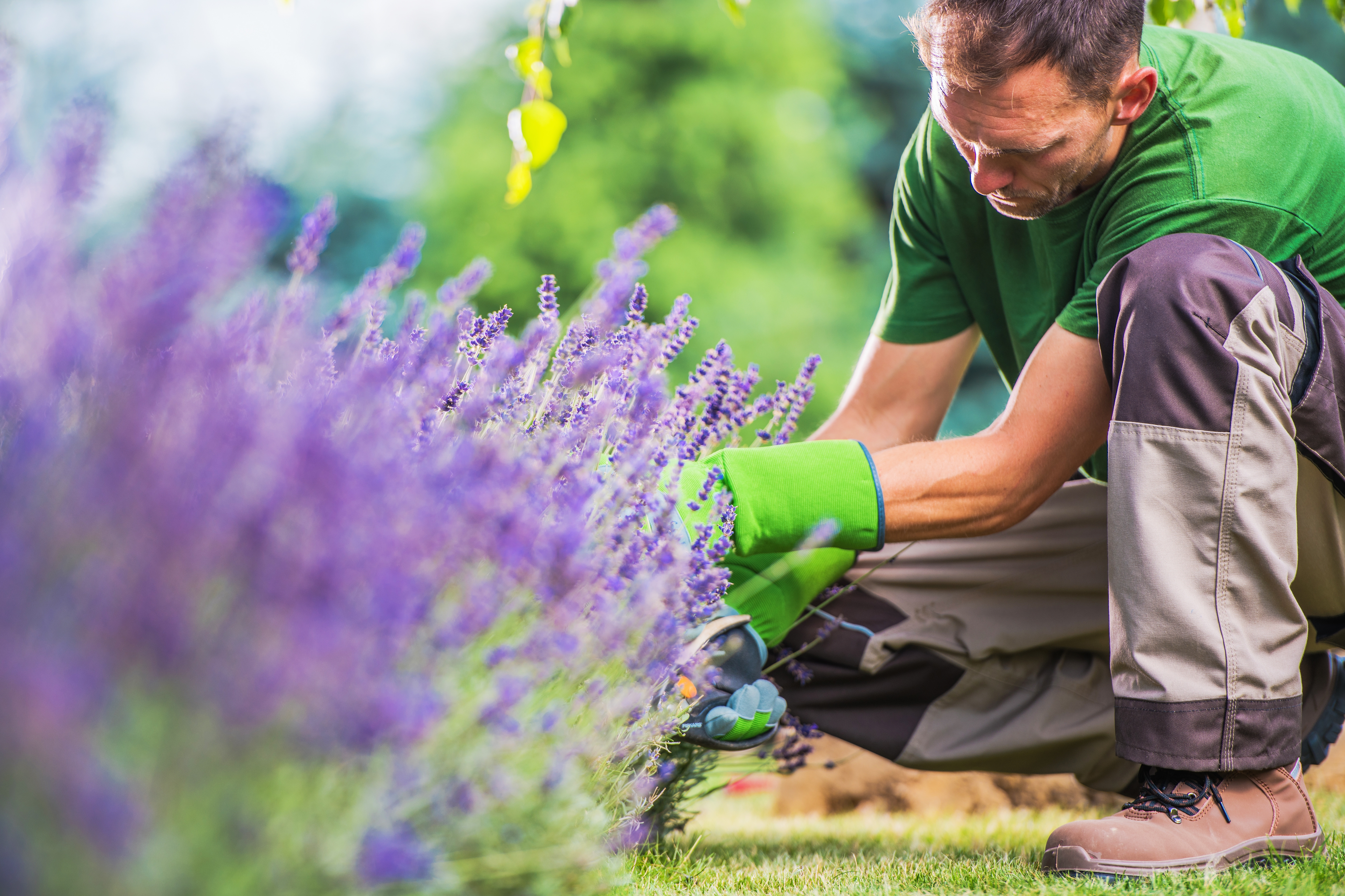 Araman Gartenpflege bei der Arbeit