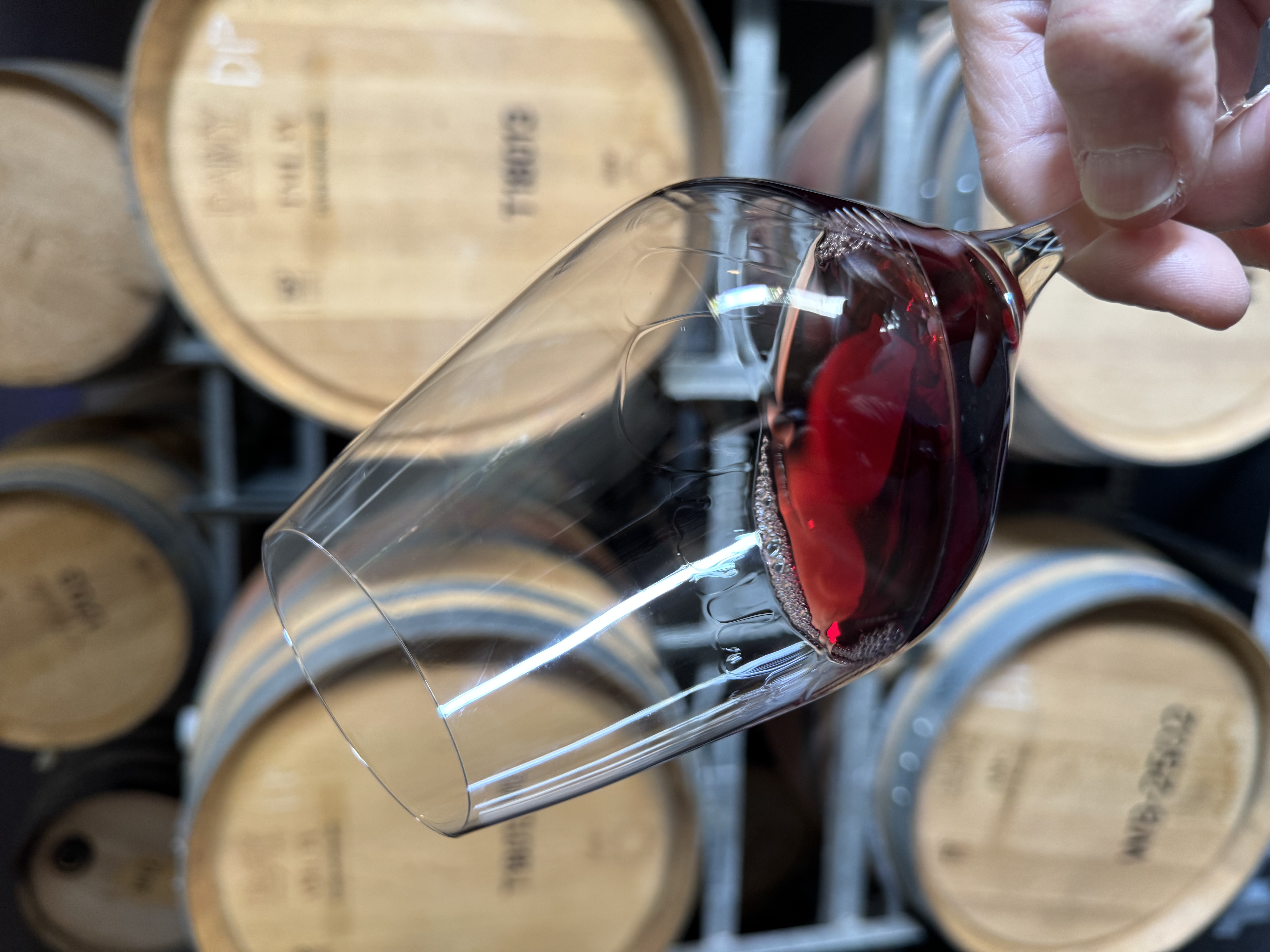 Hand holding a glass of red wine in front of wine barrels