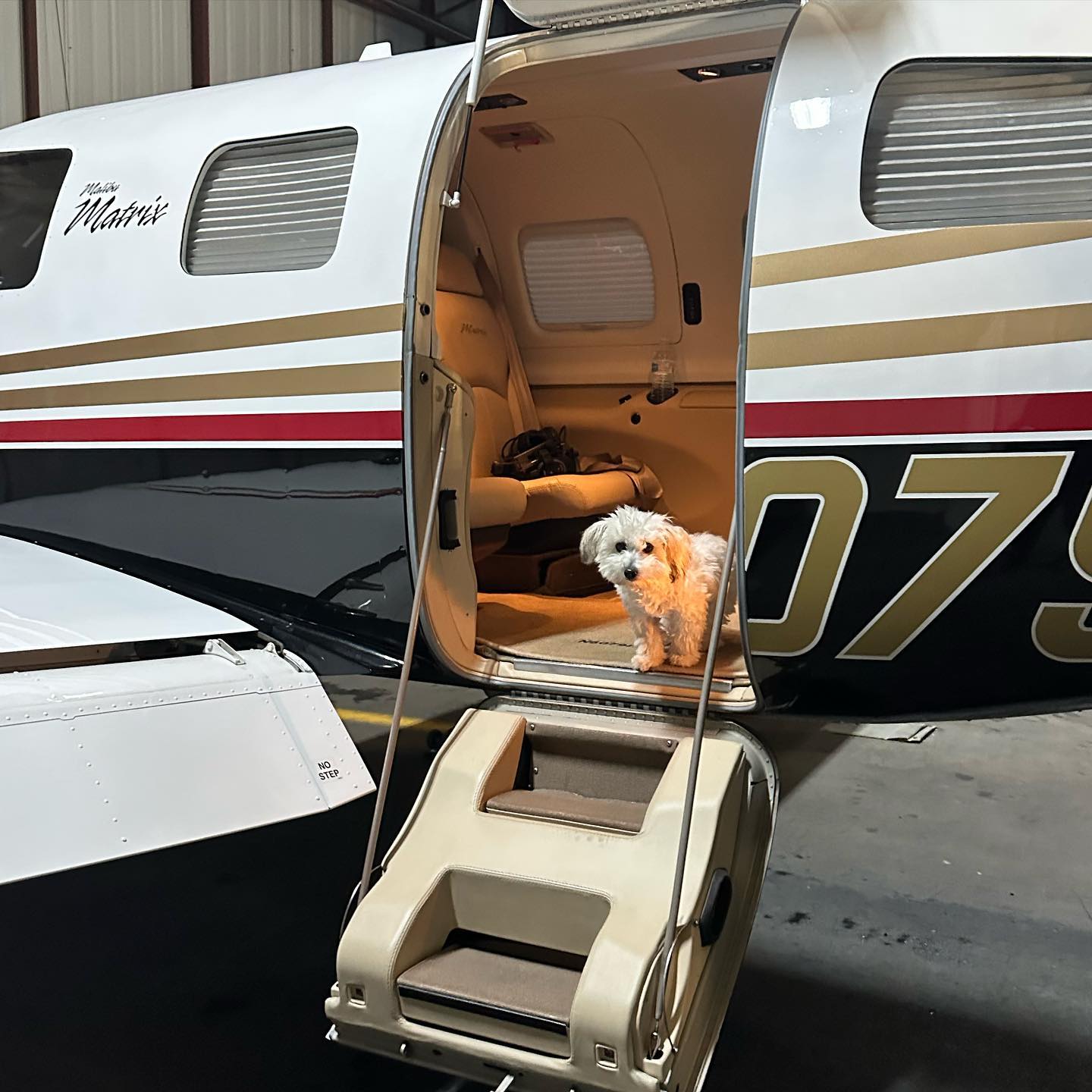 Small private aircraft with open cabin door at an airport hangar